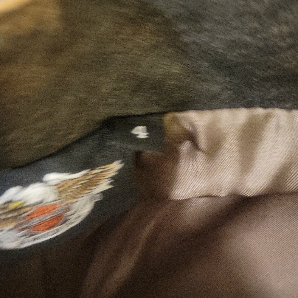 Harley-Davidson Leather Dark Brown Bootcut Pants - Picture 6 of 10